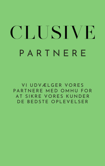 //clusive.dk/wp-content/uploads/2023/08/PARTNERE.png